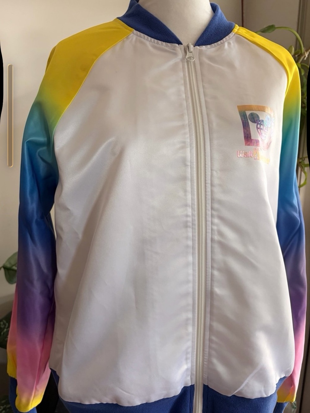 Rainbow Disney Jacket